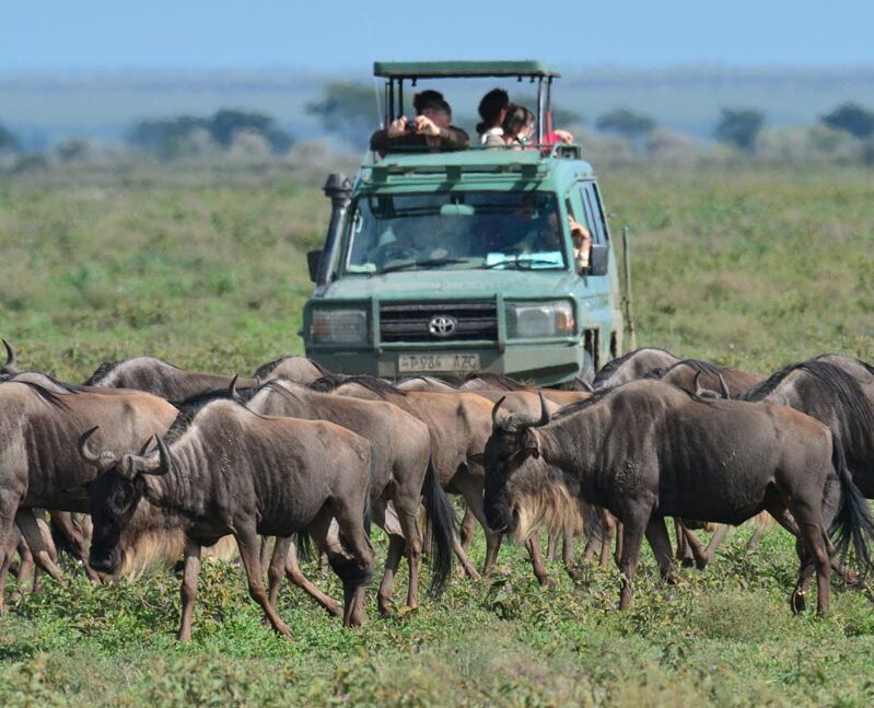 TANZANIE